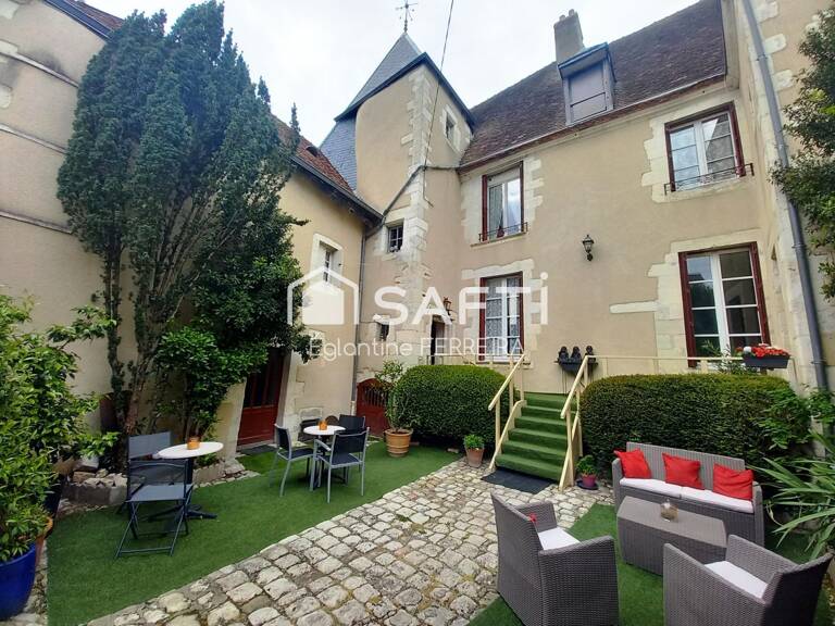 INDRE (36), HOTEL PARTICULIER DU XVIIe SIECLE AVEC GITES — photo 1