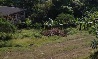 Terrain  905 m² à vendre à Le Robert (97231)