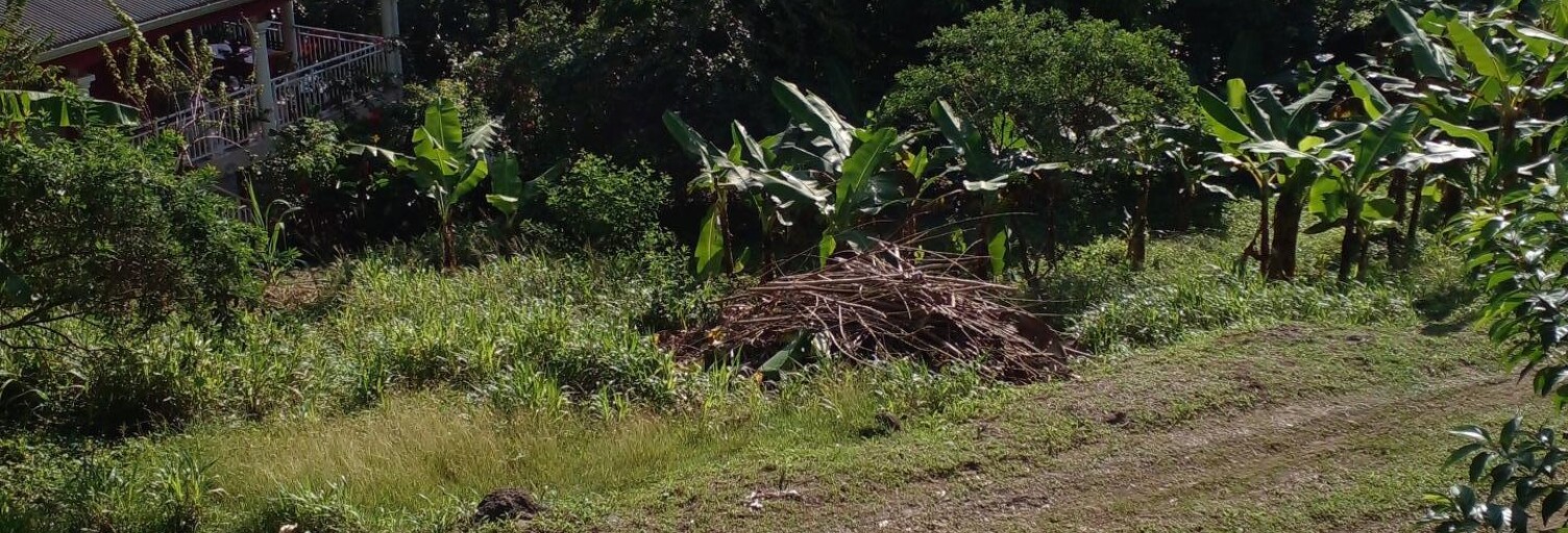 Terrain  905 m² à vendre à Le Robert (97231)