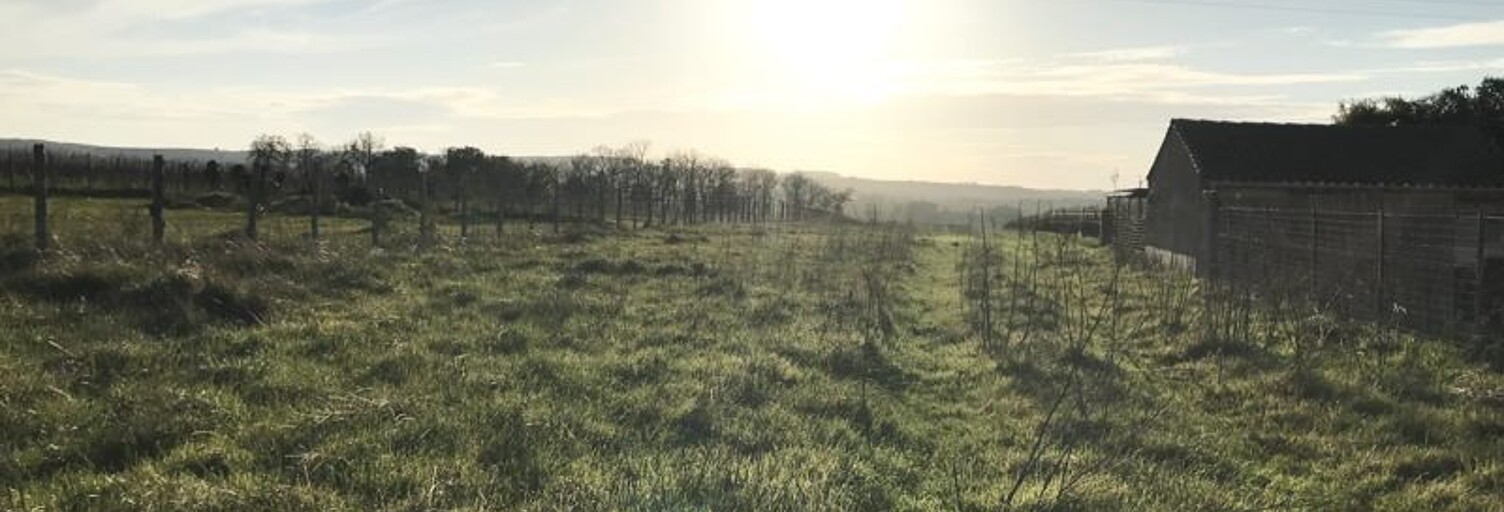 Terrain  2925 m² à vendre à Saint-Même-les-Carrières (16720)