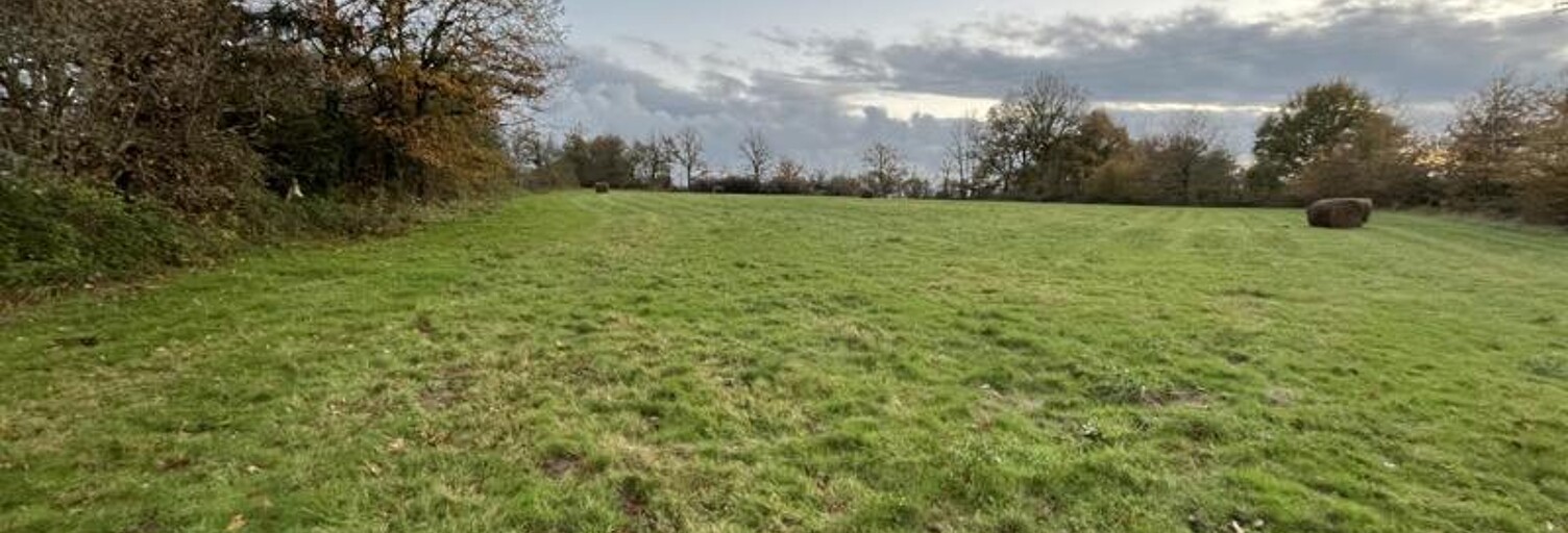 Terrain  7985 m² à vendre à Bellac (87300)