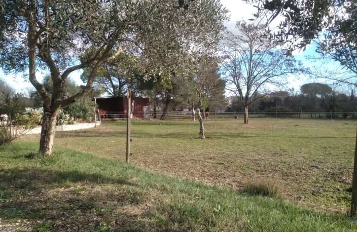 VENTE - MAISON - 180 M2 - ST CHRISTOL LES ALES — photo 5