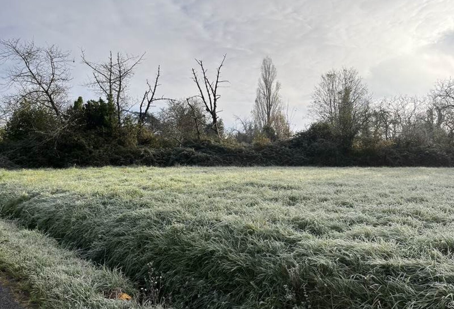 Terrain à bâtir de 0 pièces principales — photo 1