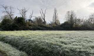 Terrain  620 m² à vendre à Charras (16380)