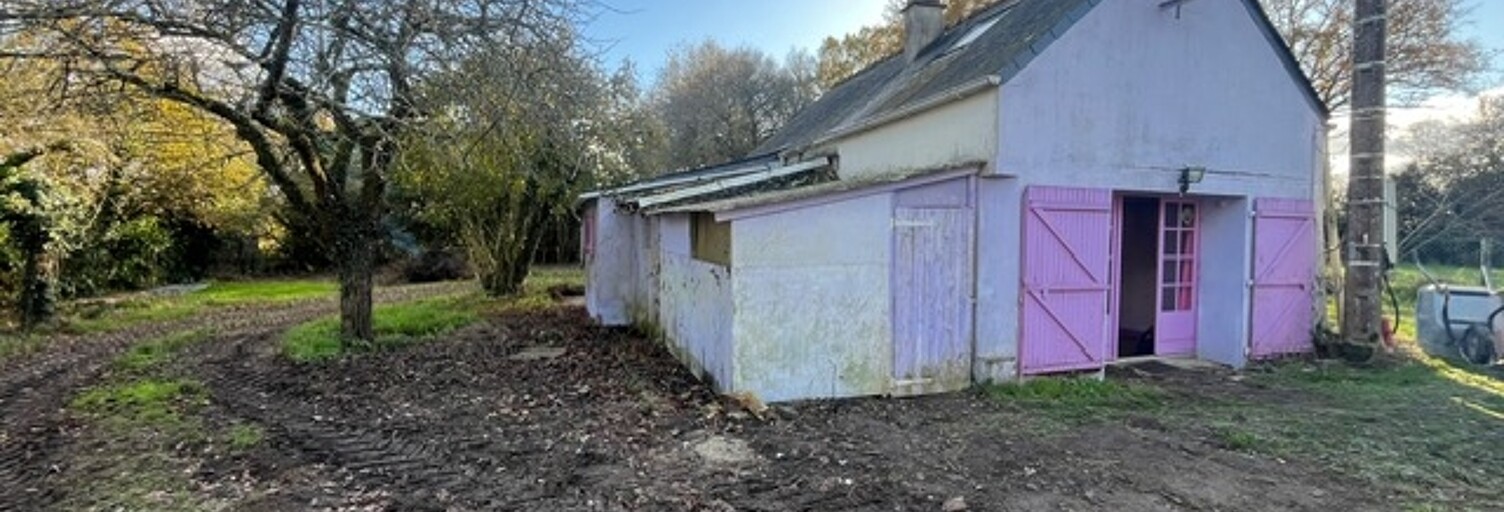 Maison 4 Pièces 53 m² à vendre à Plessé (44630)