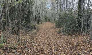 Terrain  405918 m² à vendre à Val-d'Issoire (87330)