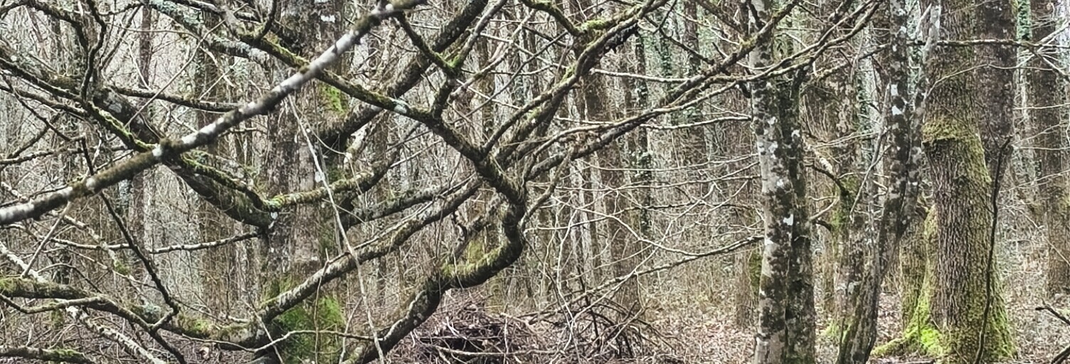 Terrain  405918 m² à vendre à Val-d'Issoire (87330)