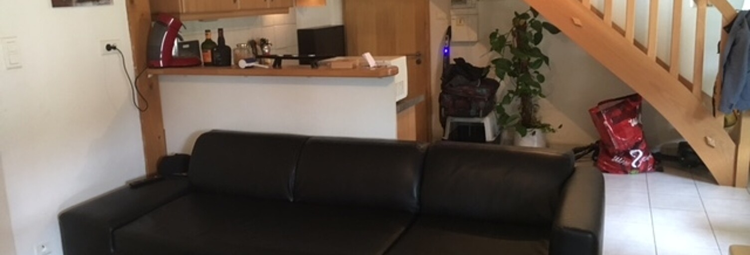 Appartement 3 Pièces 55 m² à vendre à Dannemarie (68210)