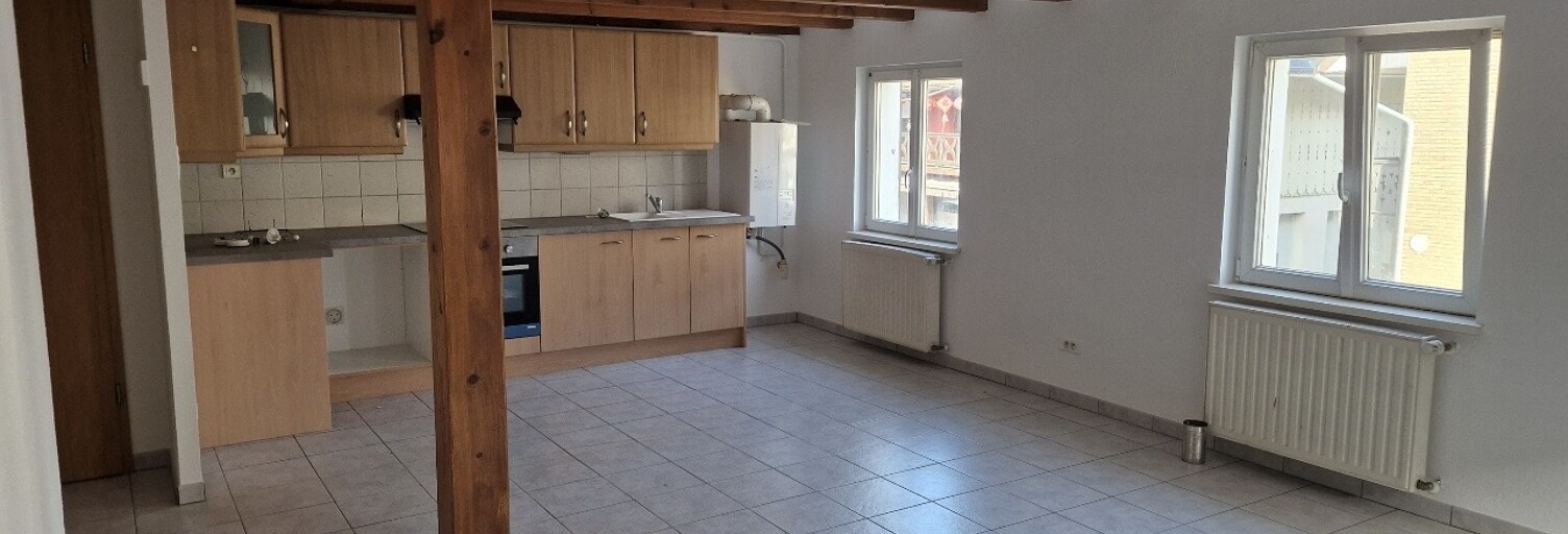 Appartement 3 Pièces 63 m² à vendre à Dannemarie (68210)