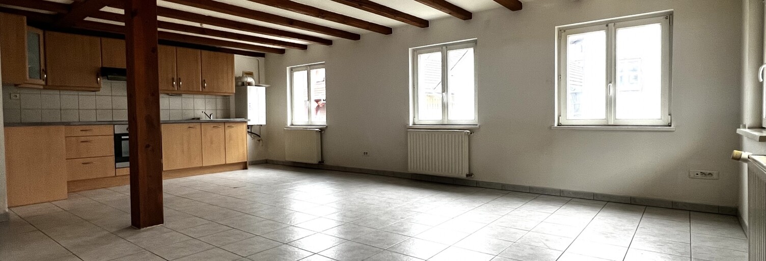 Appartement 3 Pièces 63 m² à vendre à Dannemarie (68210)