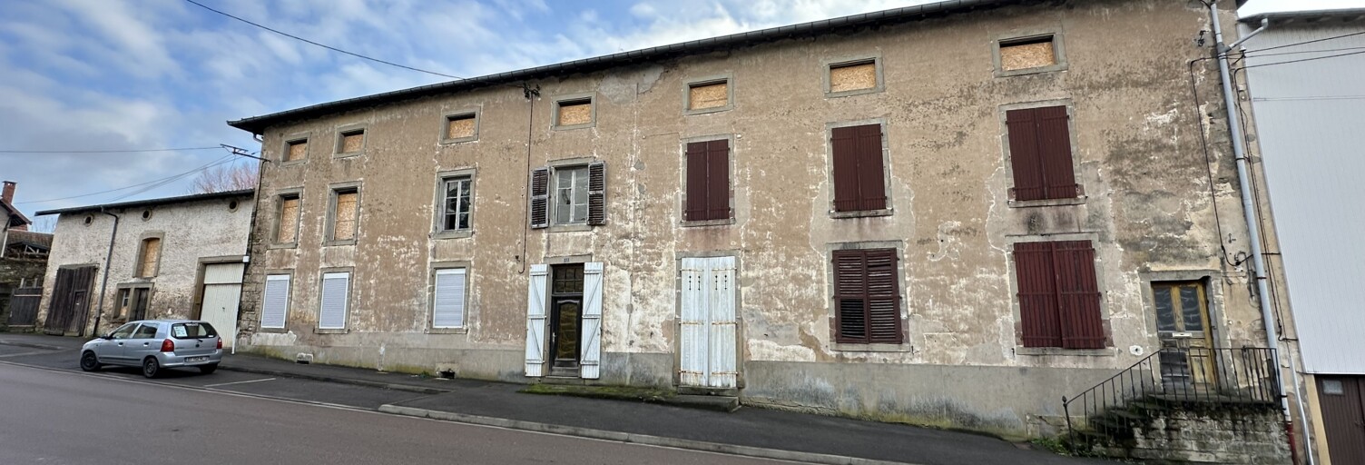 Maison 10 Pièces 280 m² à vendre à Darney (88260)