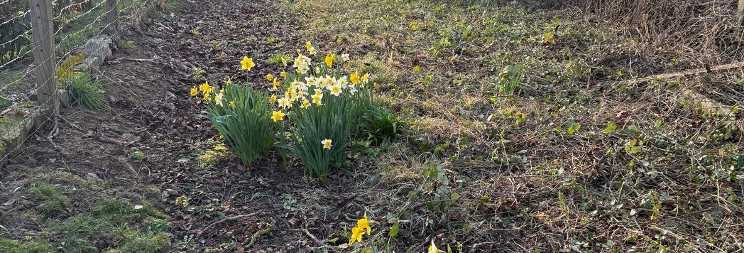 Maison 6 Pièces 150 m² à vendre à Lanvallay (22100)