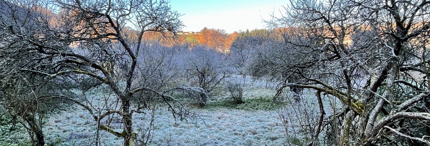 Terrain  937 m² à vendre à Hombourg-Haut (57470)