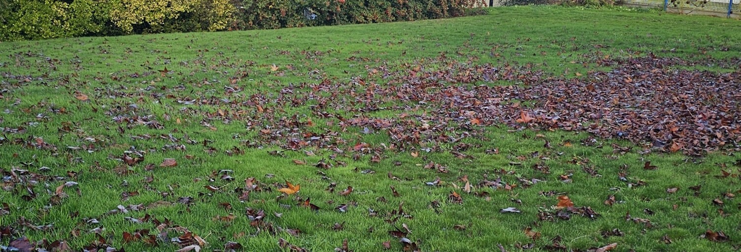 Terrain  736 m² à vendre à Domloup (35410)