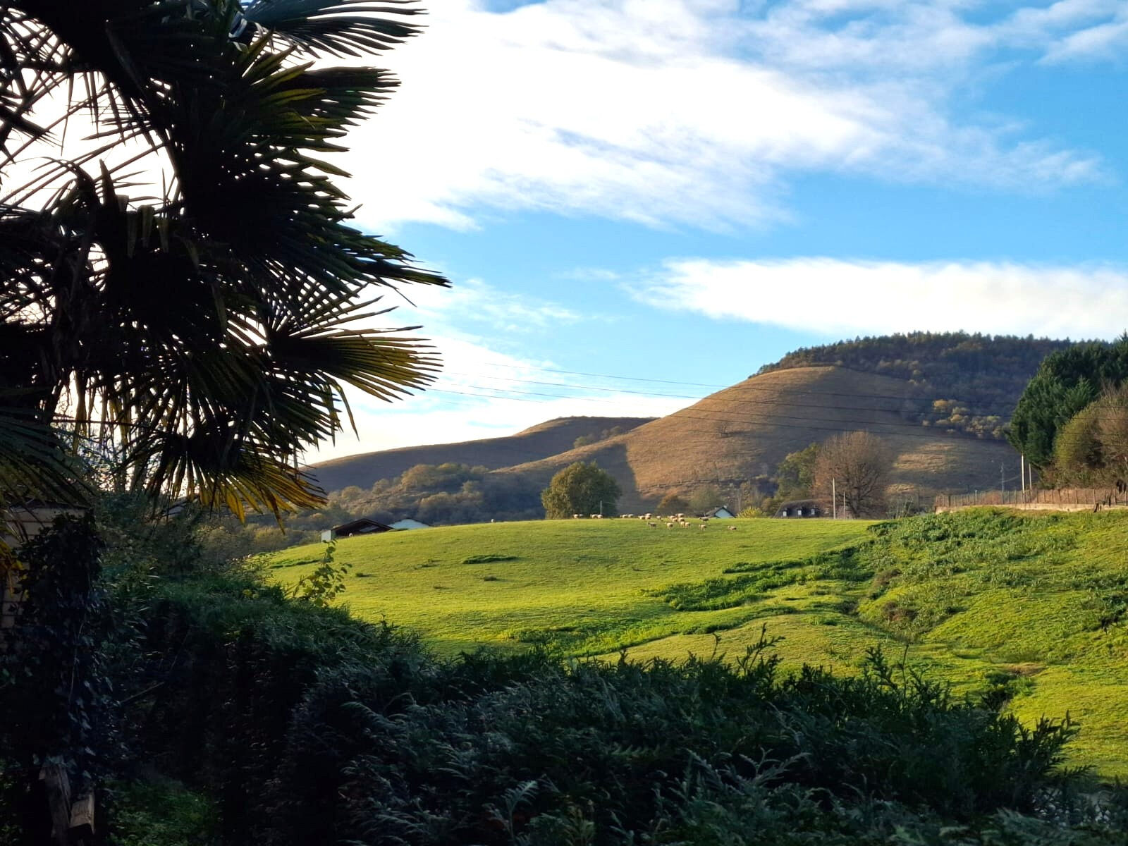 Villa / Maison  T3 à vendre Mauléon-Licharre 64130