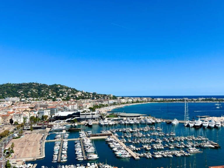 CANNES MURS COMMERCIAUX LIBRES 485m2 RARE 3247EUR/m2 — photo 1