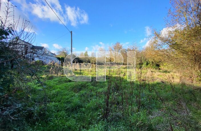 Bords de Loire, cette maison ancienne de mariniers de 163 m2 à — photo 5