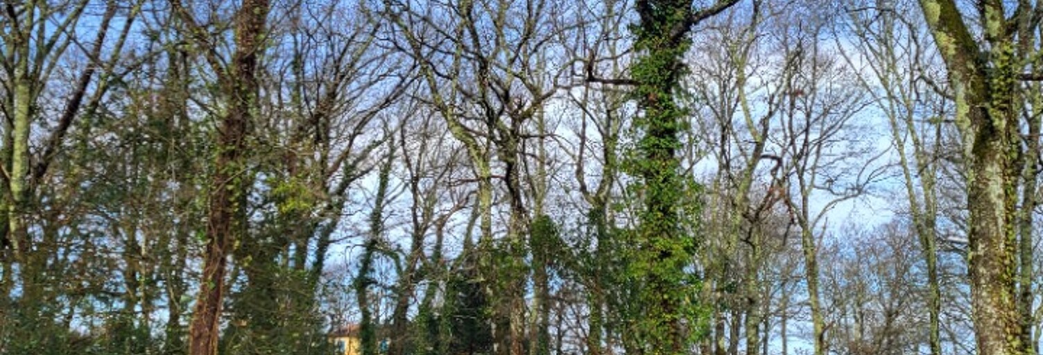 Terrain  970 m² à vendre à Audenge (33980)