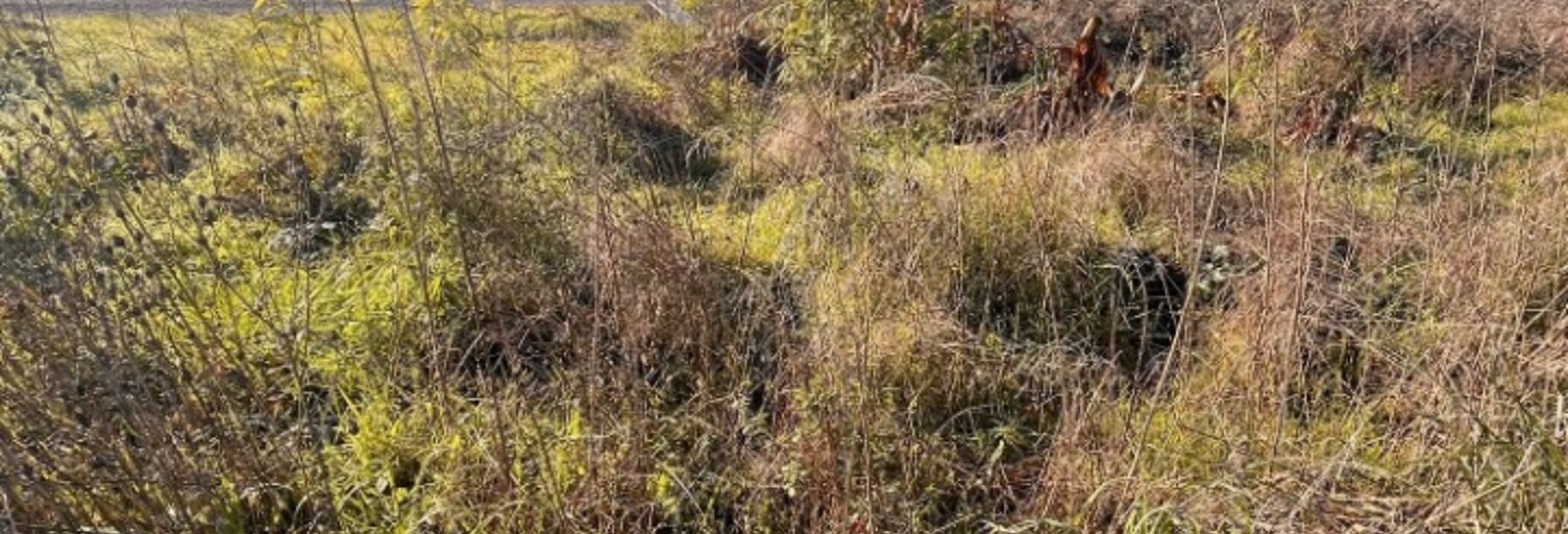 Terrain  500 m² à vendre à Castres-Gironde (33640)