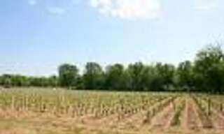 Terrain  515 m² à vendre à Cérons (33720)