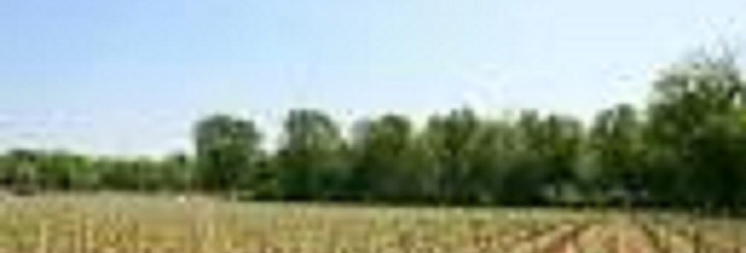 Terrain  515 m² à vendre à Cérons (33720)