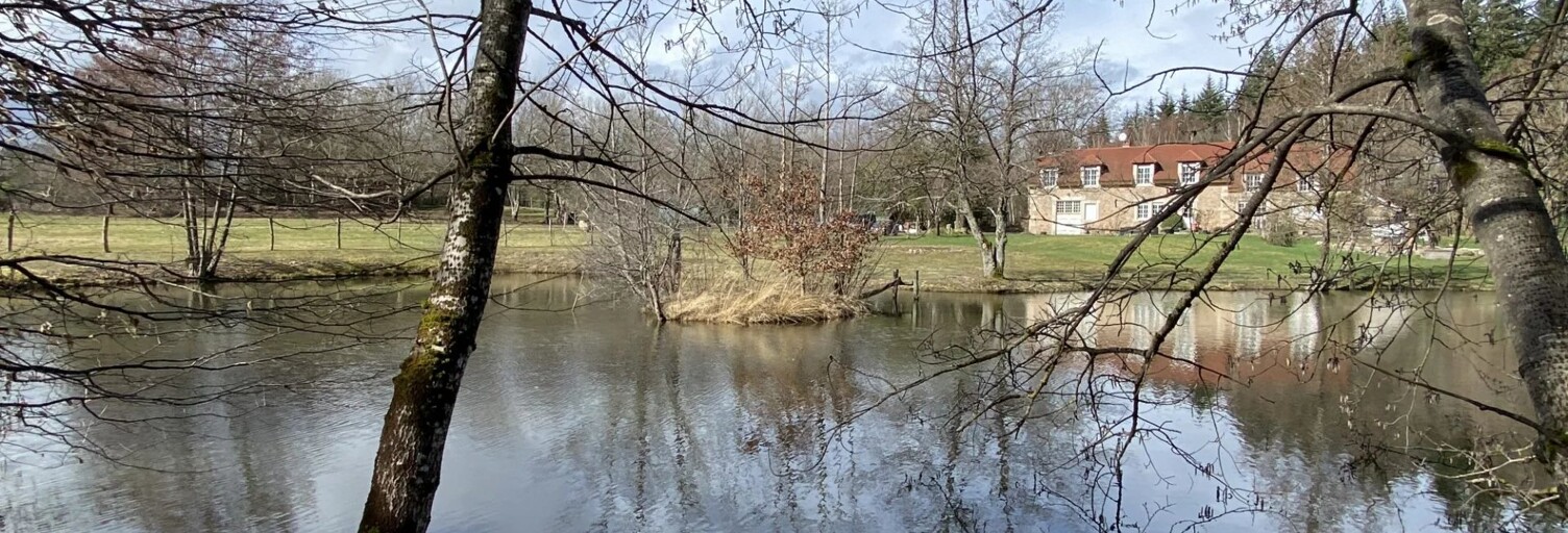 Maison 9 Pièces 311 m² à vendre à Saint-Didier (21210)