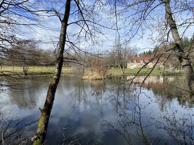 MORVAN: Propriété de 5 hectares avec plan d'eau — photo 1