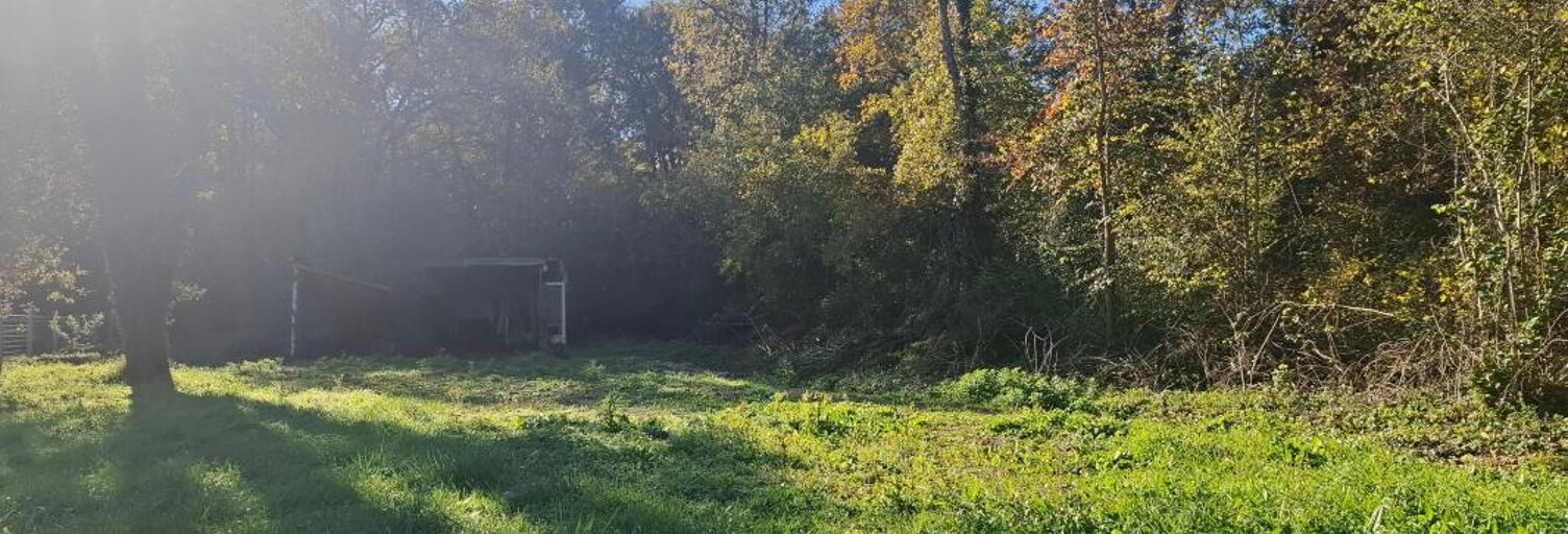 Terrain  1170 m² à vendre à Saujon (17600)