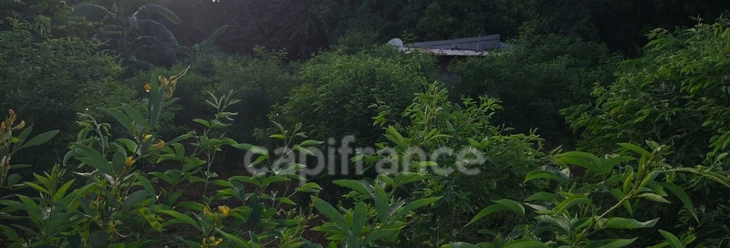 Terrain  1043 m² à vendre à Baillif (97123)