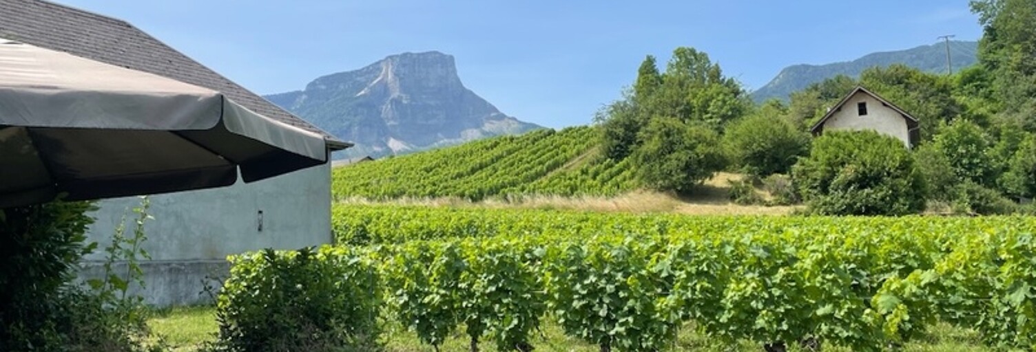 Commerce  200 m² à vendre à Apremont (73190)