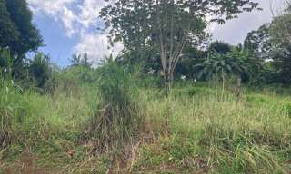 Terrain  1424 m² à vendre à Saint-Esprit (97270)