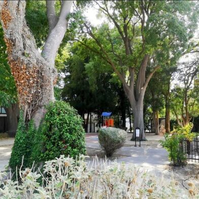 Appartement 3 pièces 1050 €