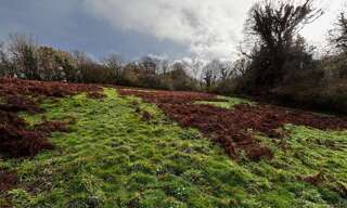 Terrain  18830 m² à vendre à Bellou-en-Houlme (61220)