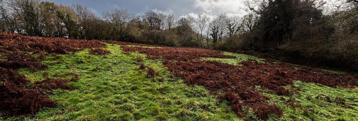 Terrain  18830 m² à vendre à Bellou-en-Houlme (61220)