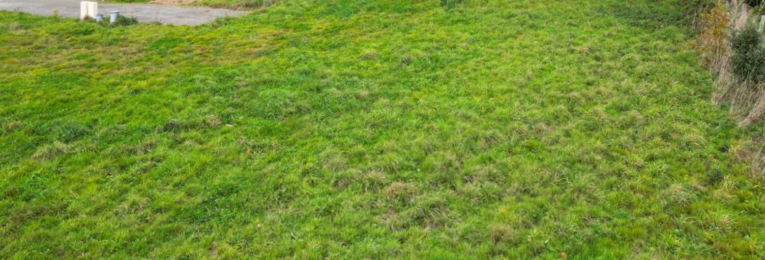 Terrain  1200 m² à vendre à Louvigné-de-Bais (35680)