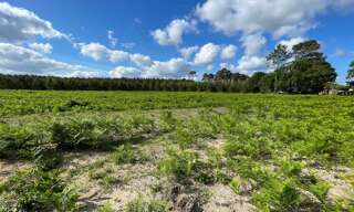 Terrain  829 m² à vendre à Lit-et-Mixe (40170)