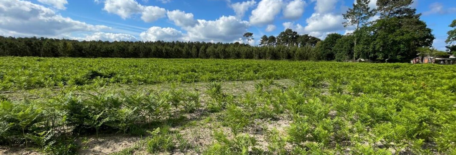 Terrain  829 m² à vendre à Lit-et-Mixe (40170)