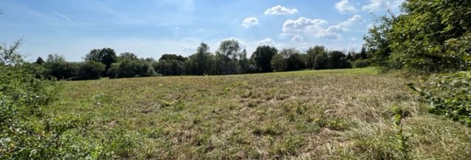 Terrain  12000 m² à vendre à Savigny-en-Sancerre (18240)