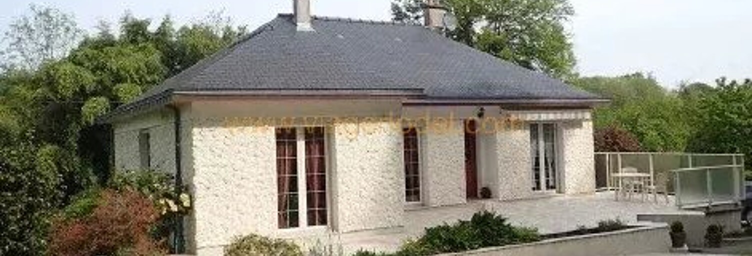 Maison 91 m² en viager Port-Brillet (53410)