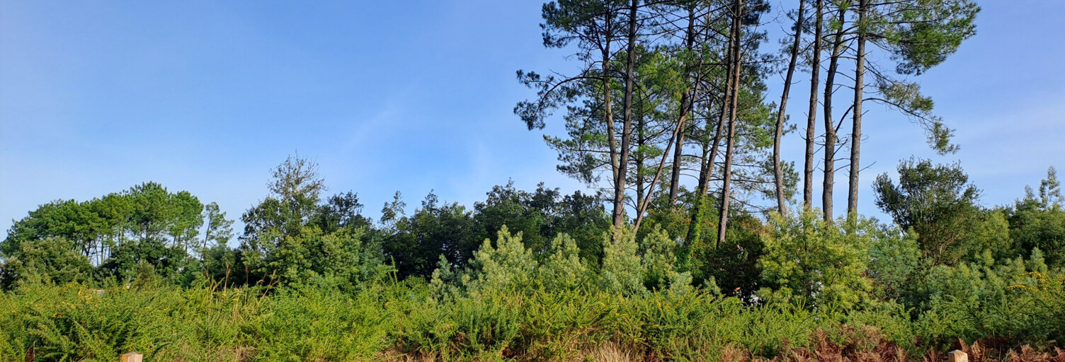 Terrain  1111 m² à vendre à Moliets-et-Maâ (40660)