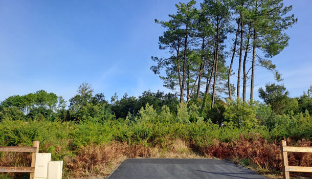 Terrain  à vendre Moliets-et-Maa 40660