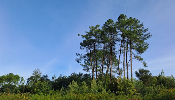 Terrain  à vendre Moliets-et-Maa 40660