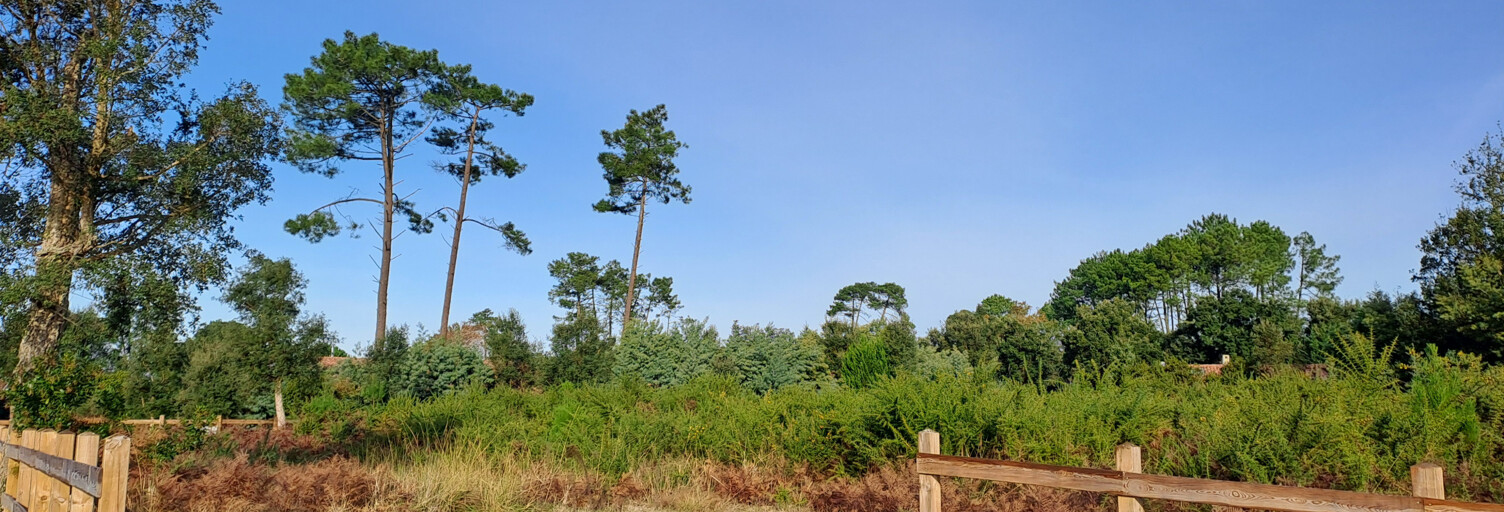 Terrain  1608 m² à vendre à Moliets-et-Maâ (40660)