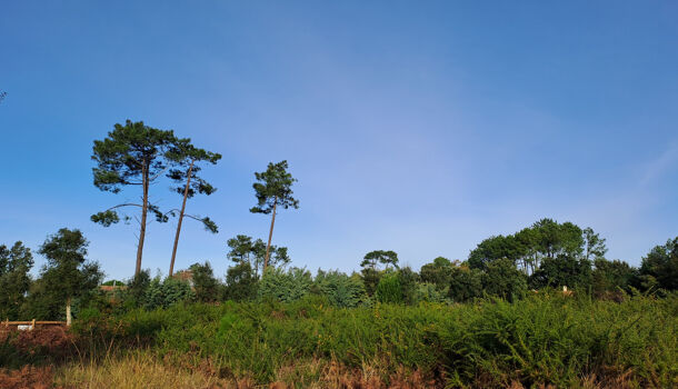 Terrain  à vendre Moliets-et-Maa 40660