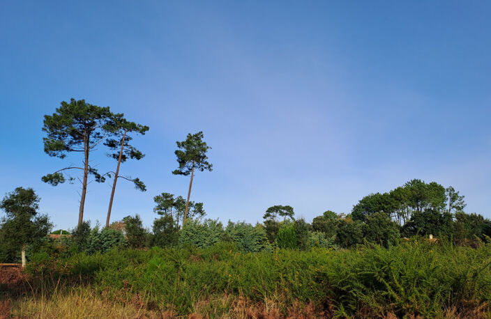 Magnifique terrain à vendre — photo 2
