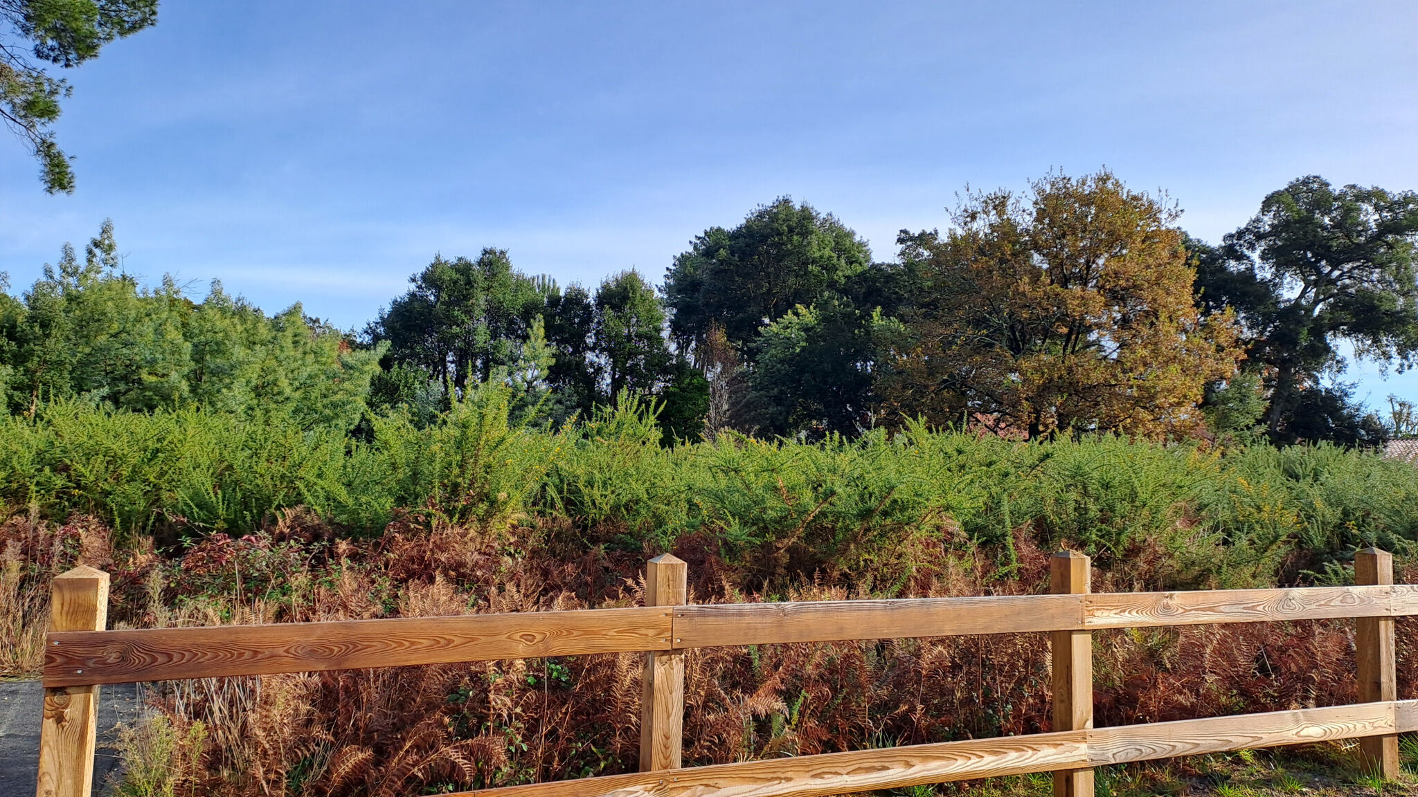 Terrain  à vendre Moliets-et-Maa 40660