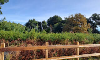 Terrain  1359 m² à vendre à Moliets-et-Maâ (40660)