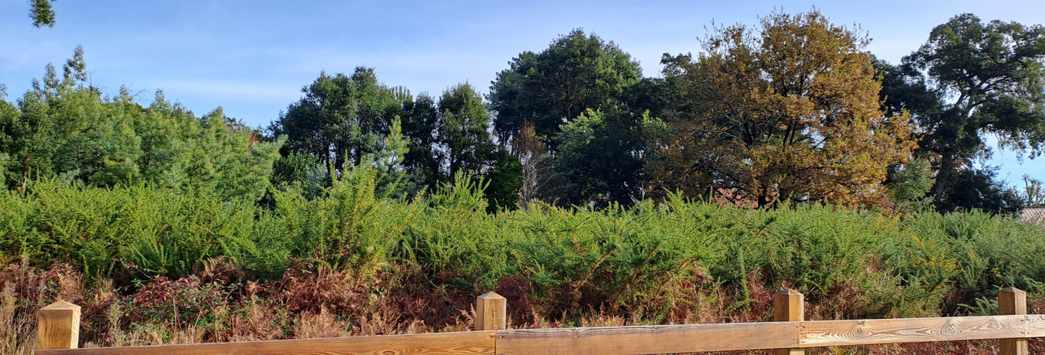 Terrain  1359 m² à vendre à Moliets-et-Maâ (40660)