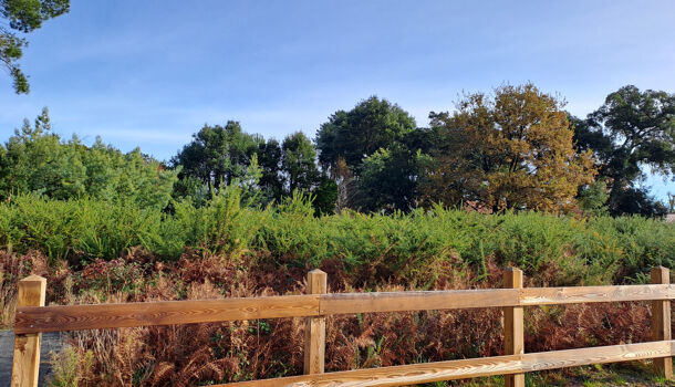 Terrain  à vendre Moliets-et-Maa 40660