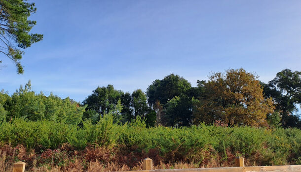 Terrain  à vendre Moliets-et-Maa 40660